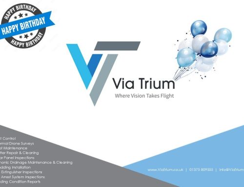 Via Trium Turns 3!