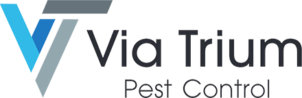 Image shows the Via Trium logo